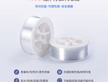 B1000-1(Φ1.0*2.2mm) 替代光纤 光谱分析仪光纤