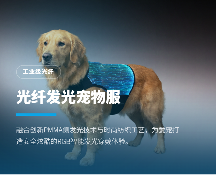 光纤发光宠物服系列插图