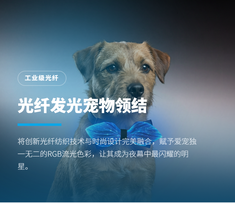光纤发光宠物领结插图