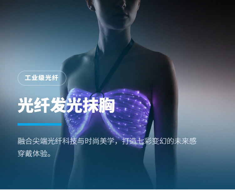 光纤发光胸衣系列插图