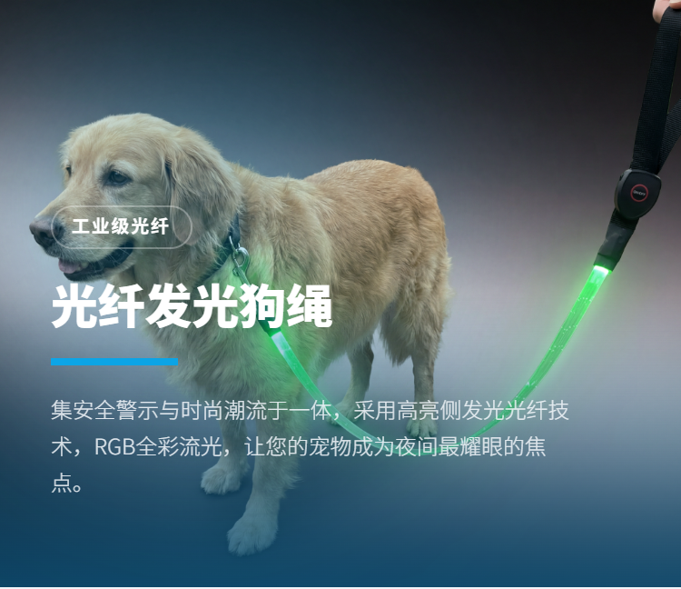 光纤发光宠物绳插图