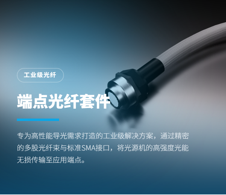 端点发光光纤套件插图