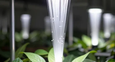 垂直农业