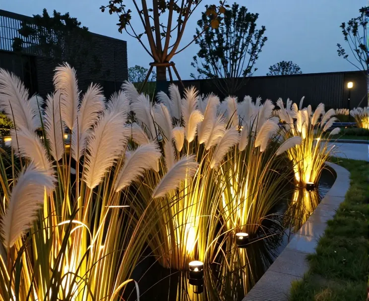 景观设计